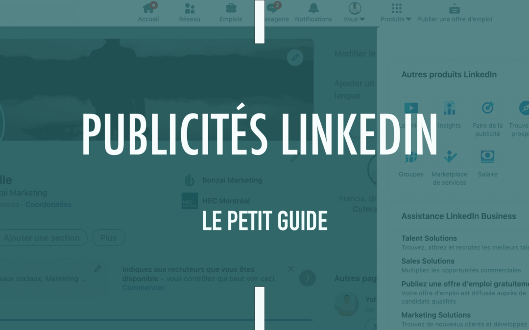 LinkedIn – Petit guide des publicités
