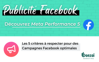 Publicité Facebook : Découvrez Meta Performance 5