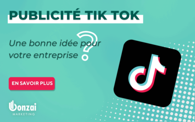 Publicité Tik Tok : Une bonne idée pour votre entreprise ?