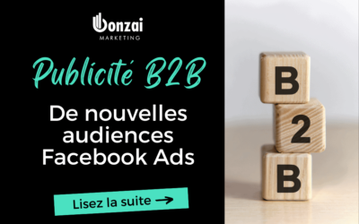 Publicité B2B : De nouvelles audiences Facebook Ads