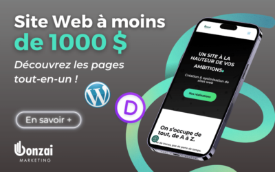 Site web à moins de 1000 $ : Découvrez la landing page