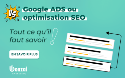 Publicité Google Ads ou optimisation SEO ?